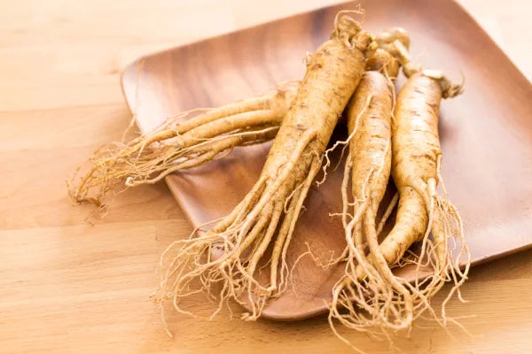 ginseng