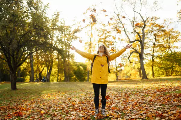 bonusan_energie_najaar