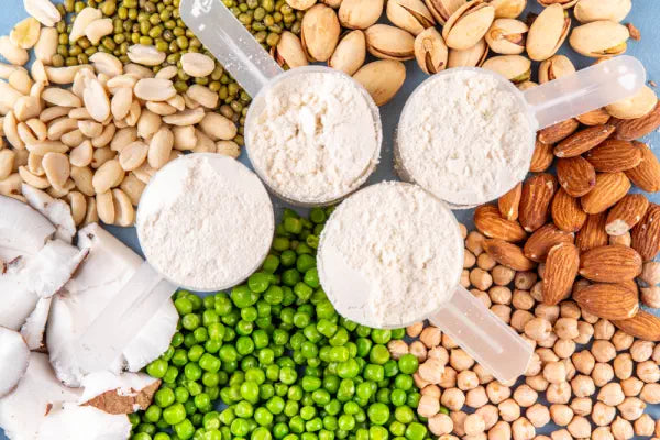 proteine poeder vegan