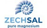 Zechsal Logo