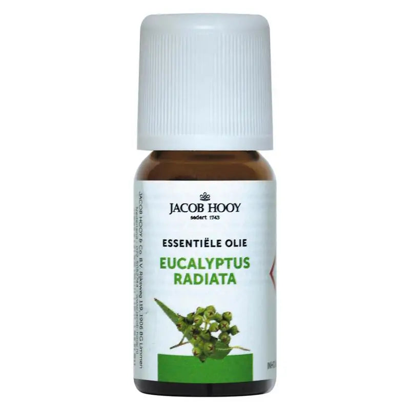 Jacob Hooy Eucalyptus radiata olie 10 ml