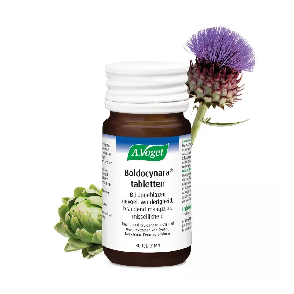 A.Vogel Boldocynara 80 tabletten