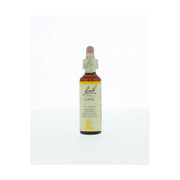 Bach Gorse/gaspeldoorn 20 ml