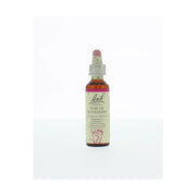 Bach Star of Bethlehem/vogelmelk 20 ml