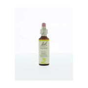 Bach Wild rose/hondsroos 20 ml