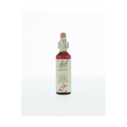 Bach Willow/wilg 20 ml