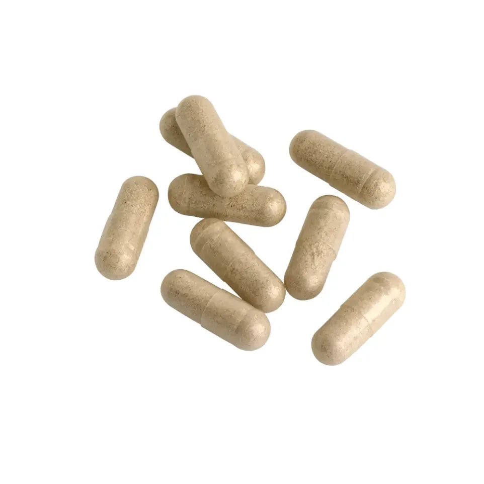 Biotics Floracare XL 60 capsules