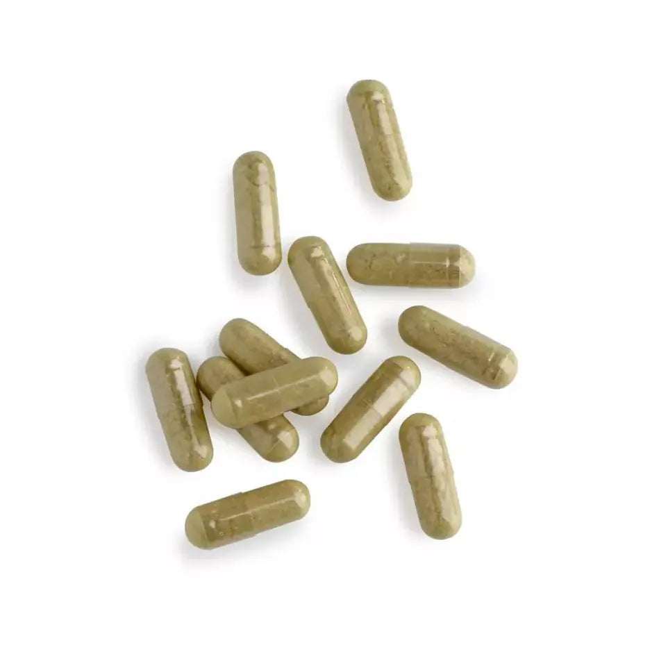 Biotics Protect plus 90 capsules