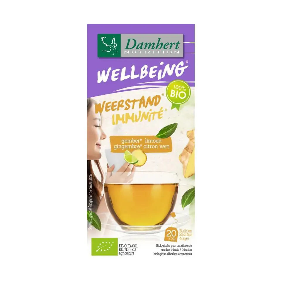 Damhert Tea time gember limoenthee 20 zakjes