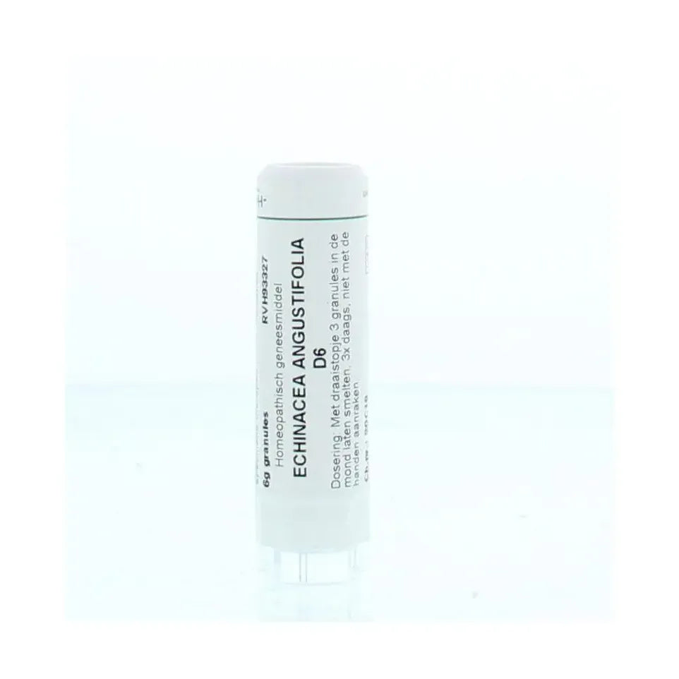 Homeoden Heel Echinacea angustifolia D6 6 gram granules