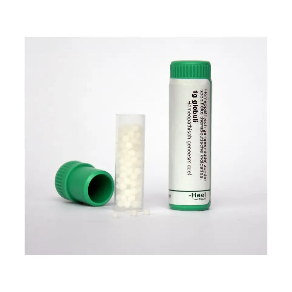Homeoden Heel Gelsemium sempervirens MK 1 gram globuli