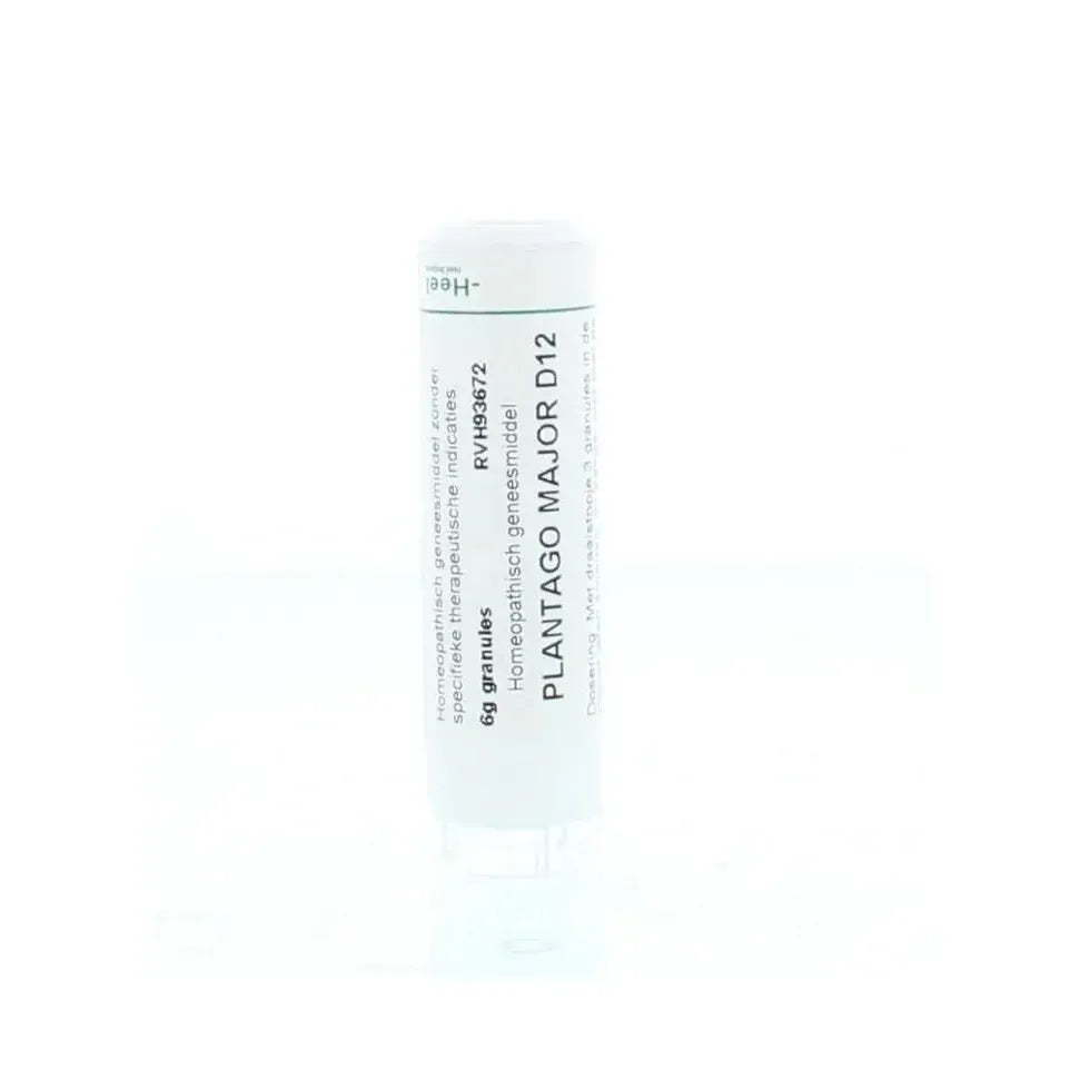 Homeoden Heel Plantago major D12 6 gram granules