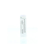 Homeoden Heel Raphanus sativus D6 6 gram granules