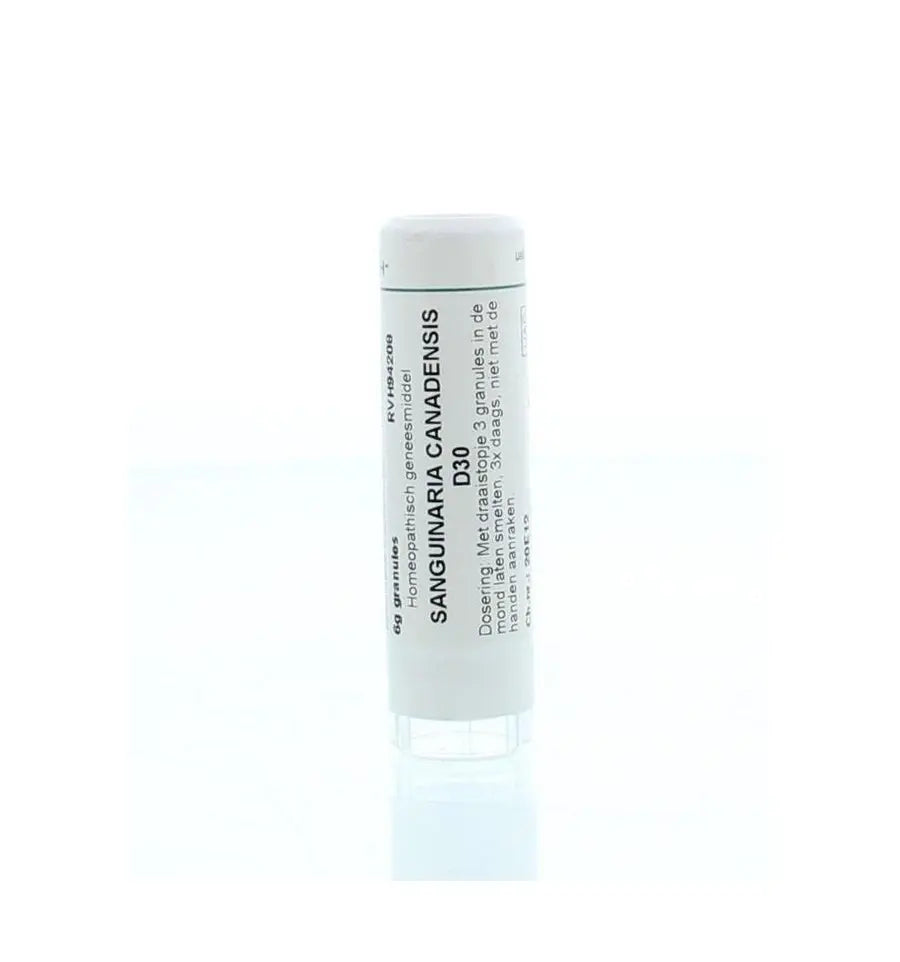 Homeoden Heel Sanguinaria canadensis D30 6 gram granules