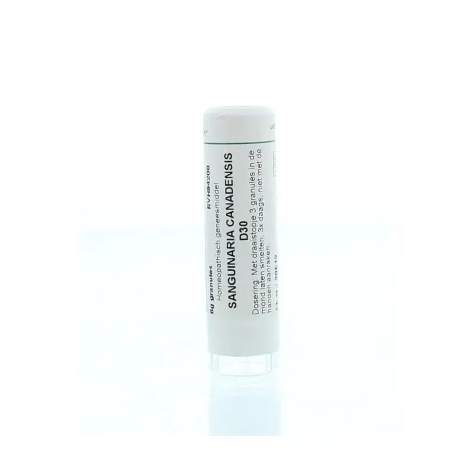 Homeoden Heel Sanguinaria canadensis D30 6 gram granules