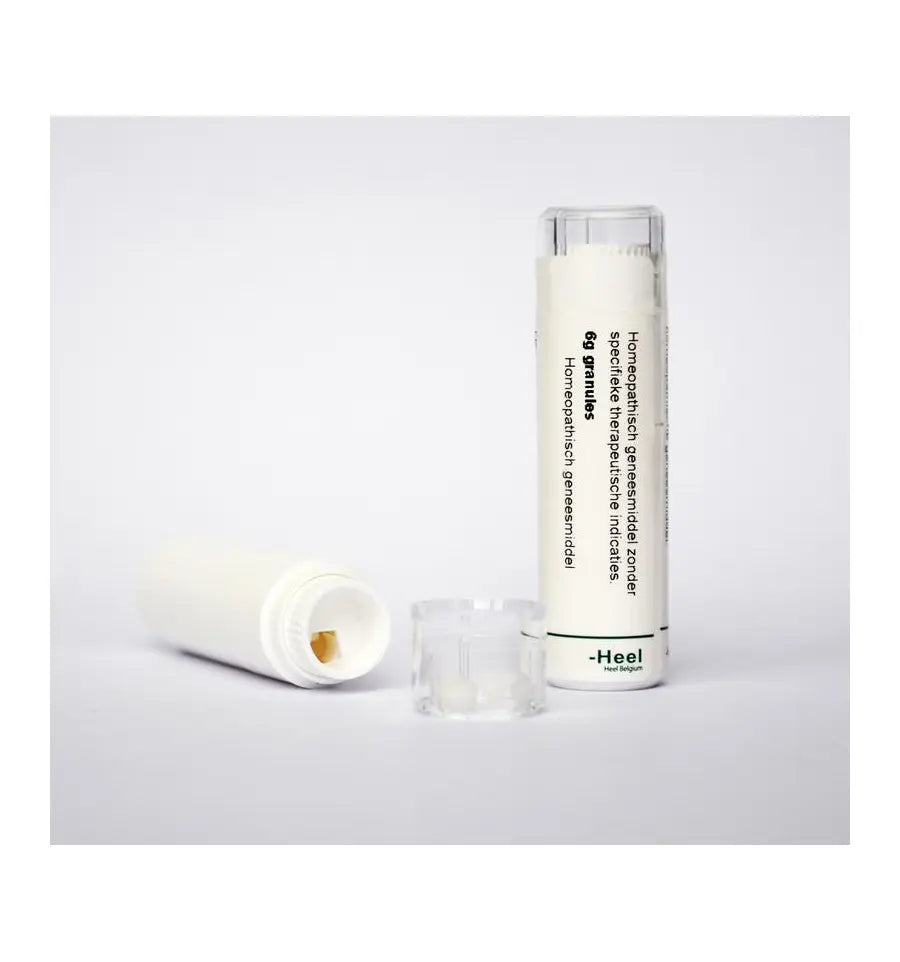 Homeoden Heel Teucrium scorodonia MK 6 gram granules