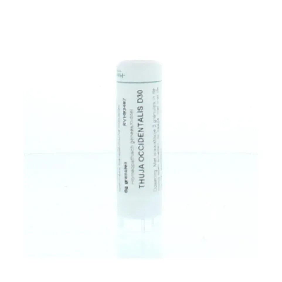 Homeoden Heel Thuja occidentalis D30 6 gram granules