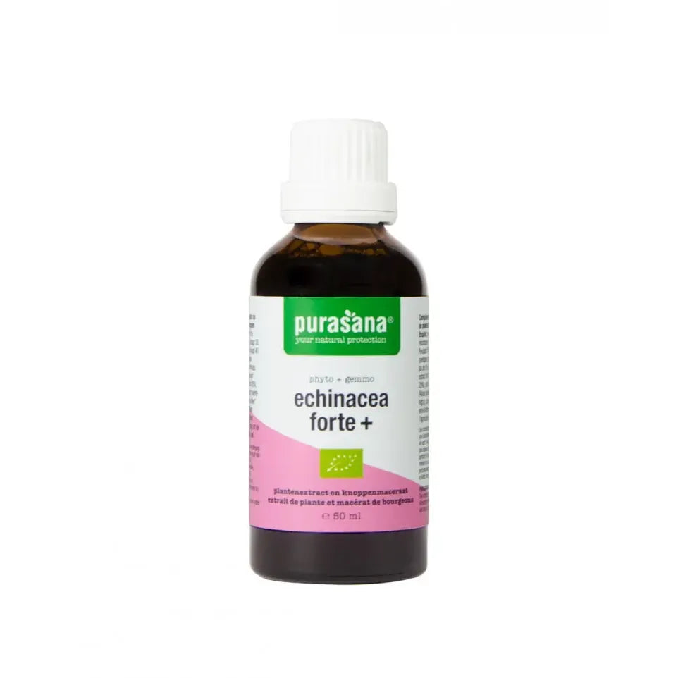 Purasana Echinacea forte + 50 ml (afbeelding 1)