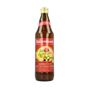 Rabenhorst Ginger mix 750 ml