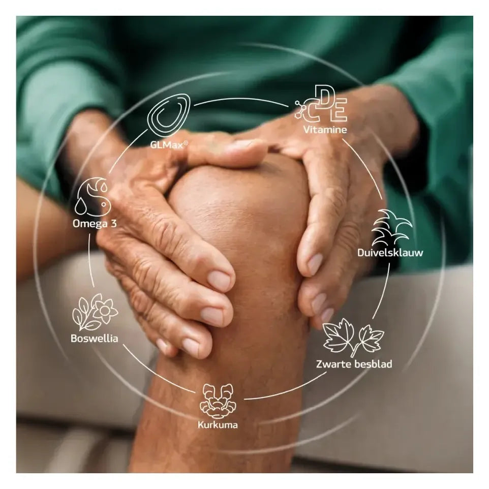 Synofit GLMax® Groenlipmossel vloeibaar 200 ml