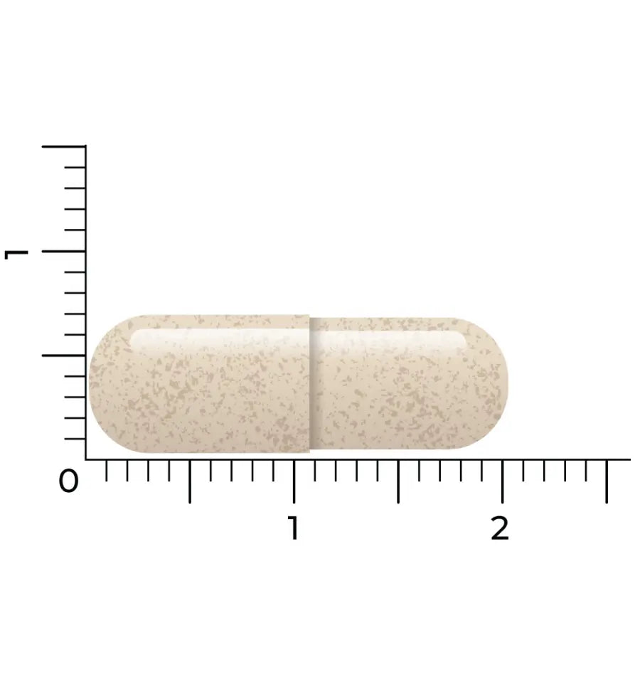 Vitakruid Ashwagandha KSM-66 & bioperine 60 vcaps (afbeelding 5)