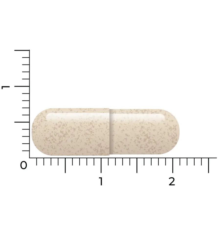 Vitakruid DPP-IV Ultimate 90 vcaps (afbeelding 5)