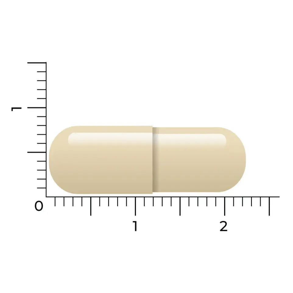 Vitakruid Gebufferde Vitamine C 90 vcaps (afbeelding 5)