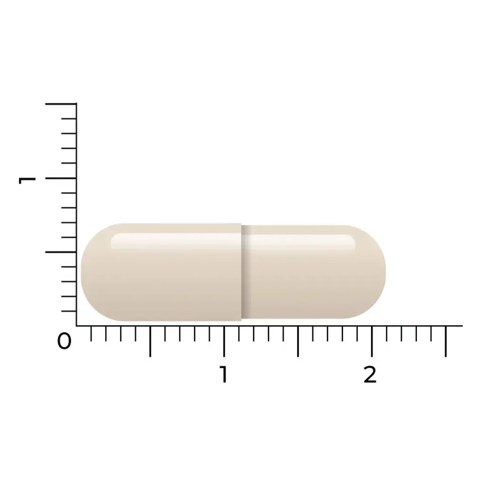 Vitakruid Groenlipmossel extract & Ovomet 90 vcaps
