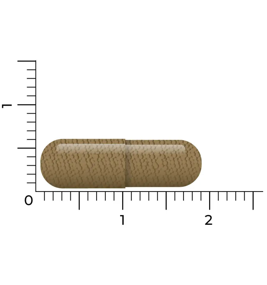 Vitakruid Q10 Ubiquinol 100 mg 60 vcaps (afbeelding 5)