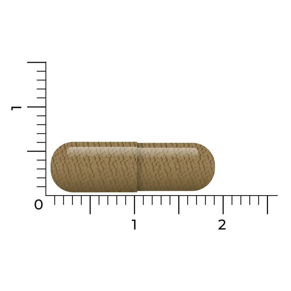 Vitakruid Q10 Ubiquinol 100 mg 60 vcaps (afbeelding 5)