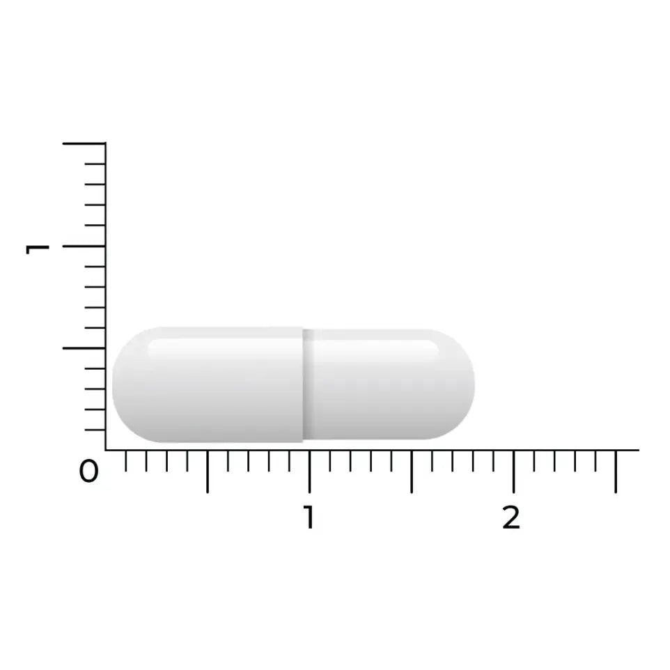 Vitakruid Resveratrol 200 mg met bioperine 60 vcaps