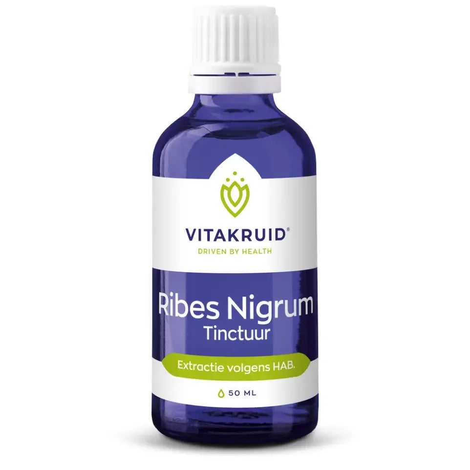 Vitakruid Ribes Nigrum tinctuur 50 ml (afbeelding 1)