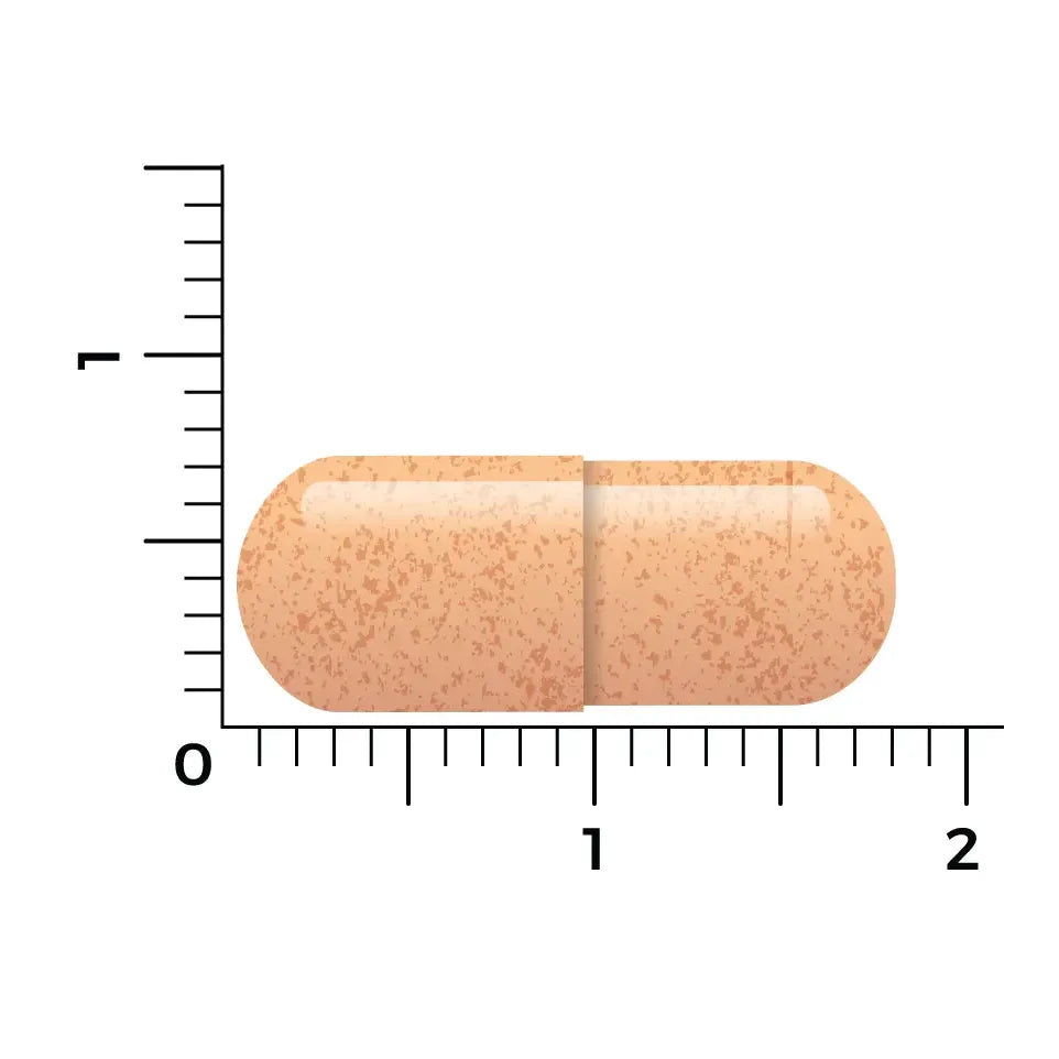 Vitakruid Saffraan & Bioperine 60 vcaps